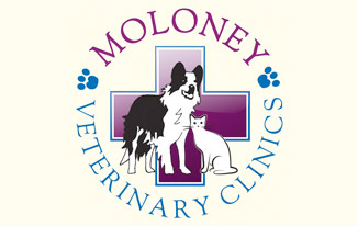 Sponsor Moloney veterinary clinics